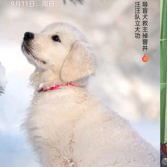 伍晓强15571755506