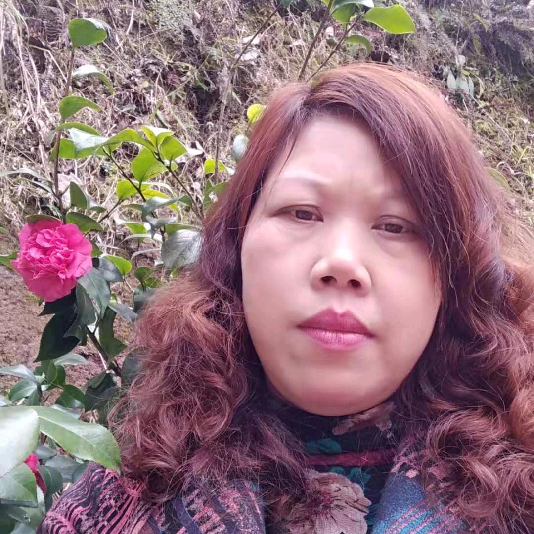 紫玫瑰