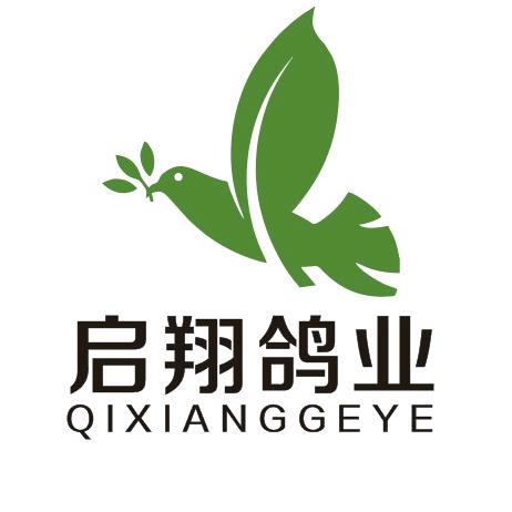 qixianggeyeR