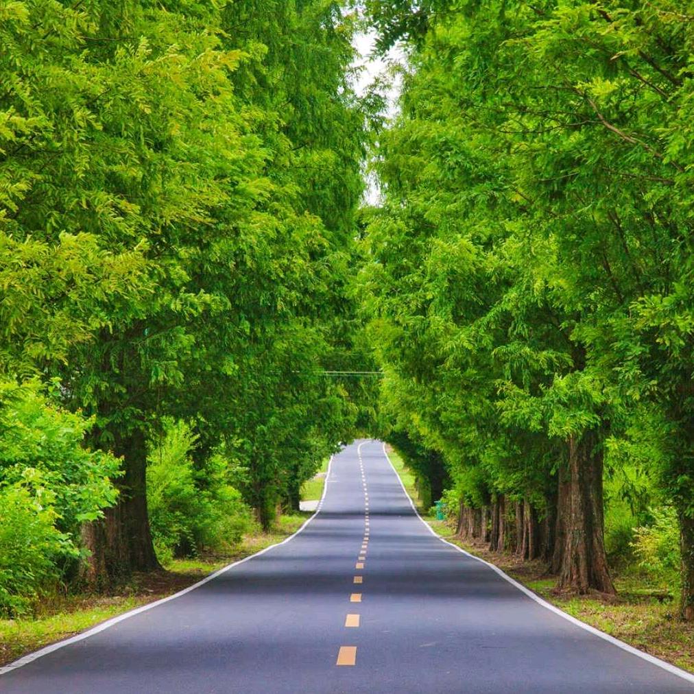 过路人