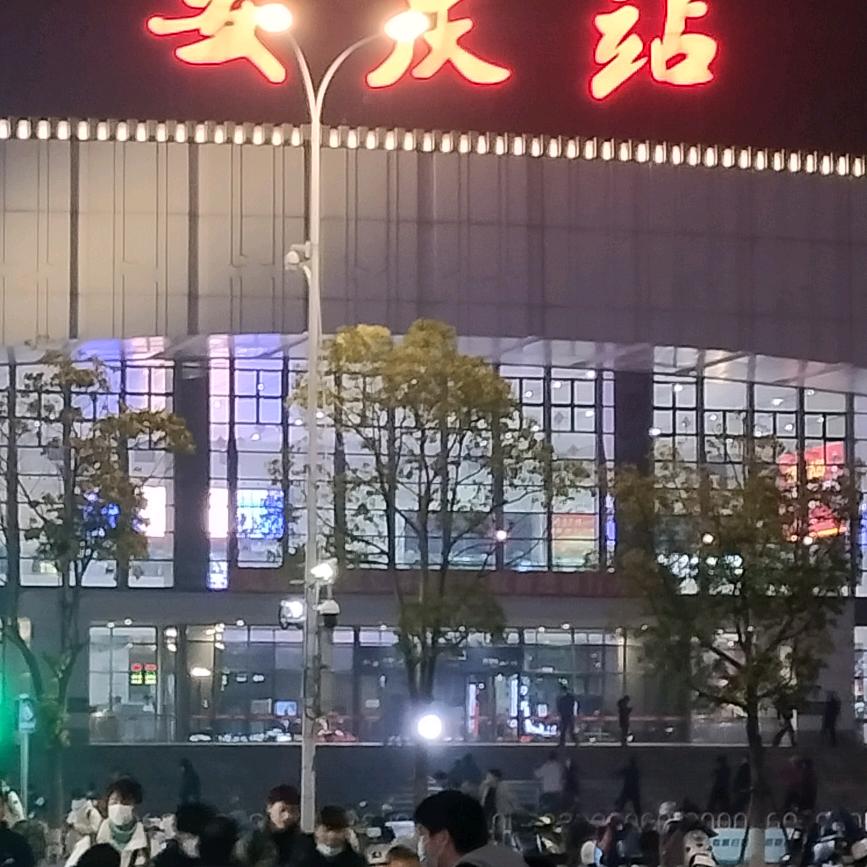 四川流浪