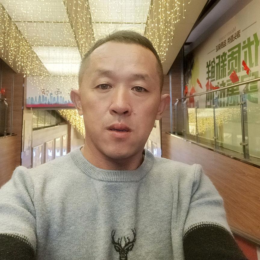 自由飞翔