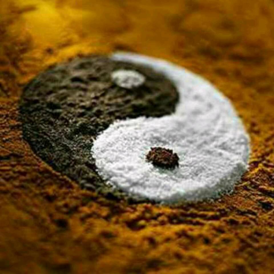 ☯️道无极☯️