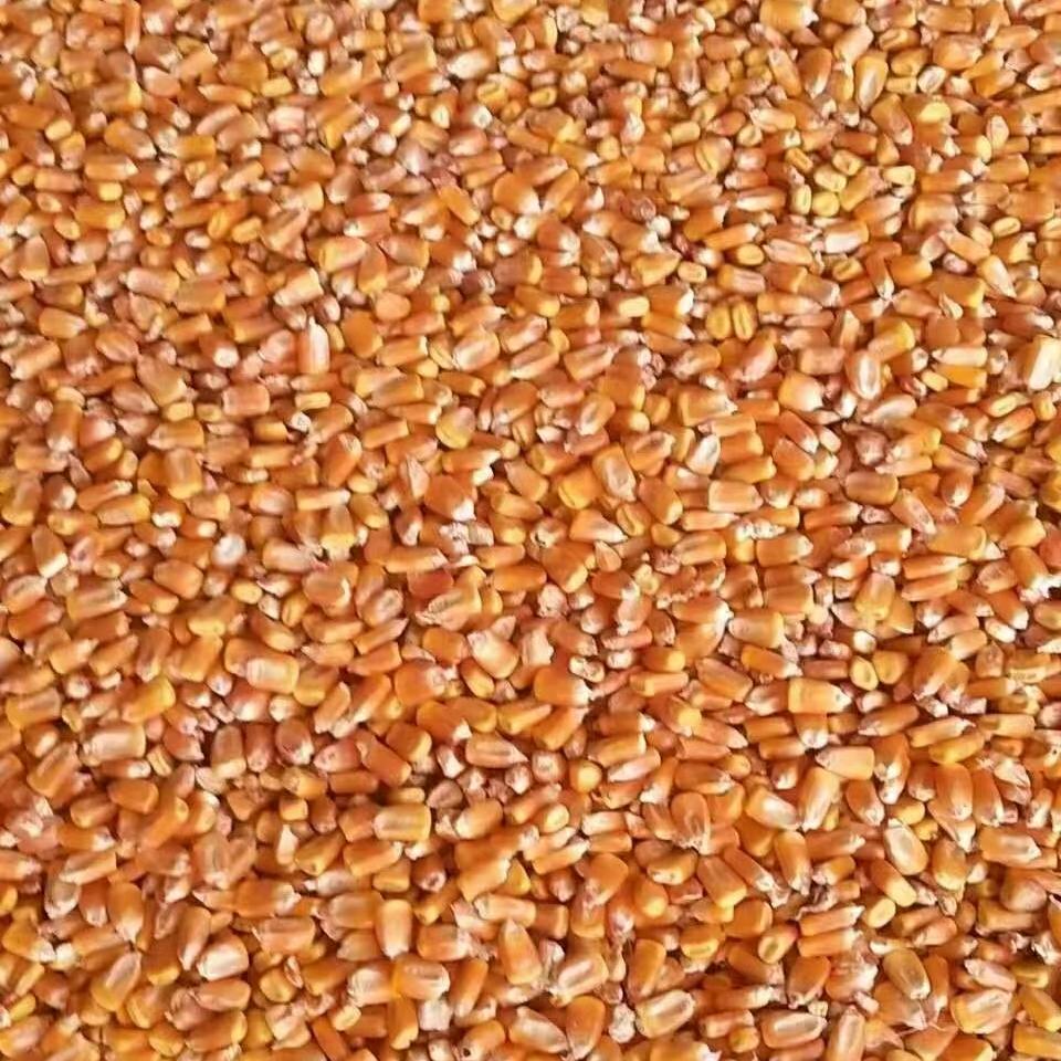 河南金子叶农业发展有限公司