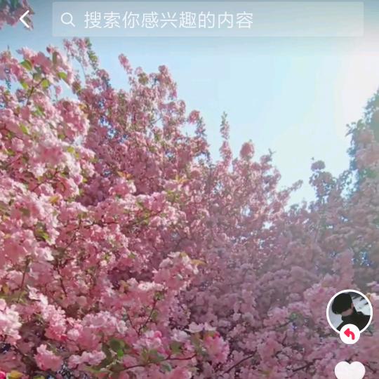 相遇就是缘，尚