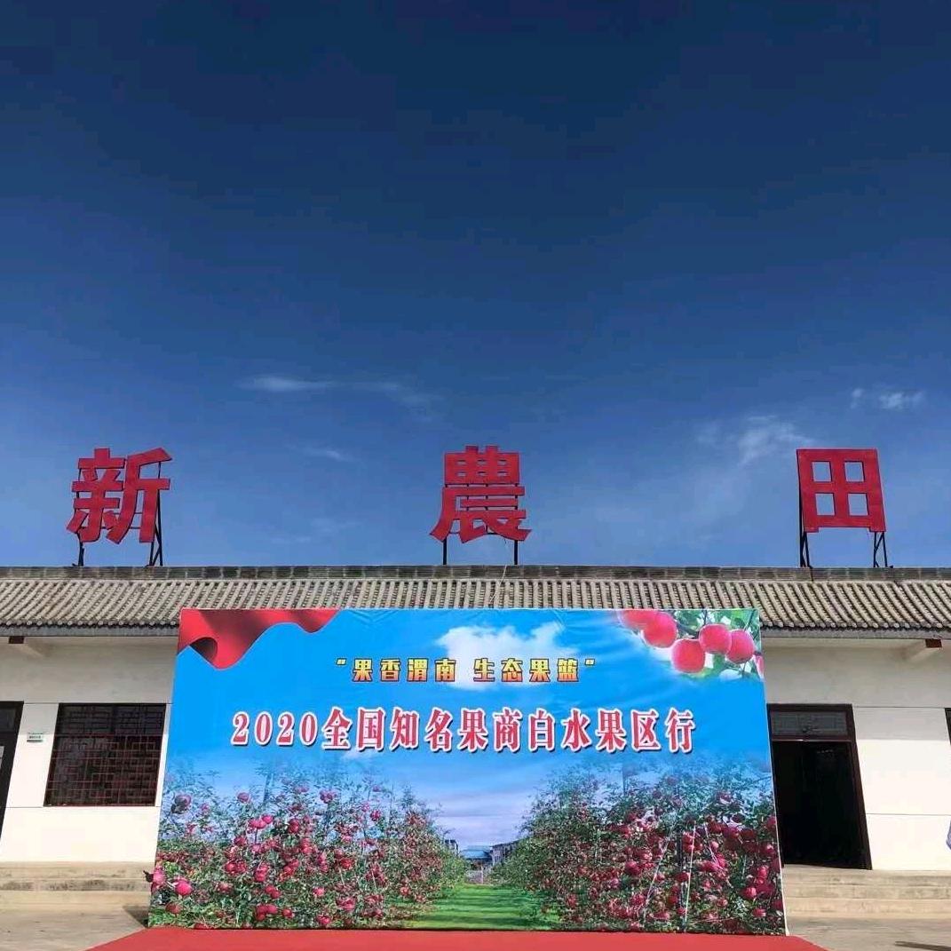 新農田苹果基地