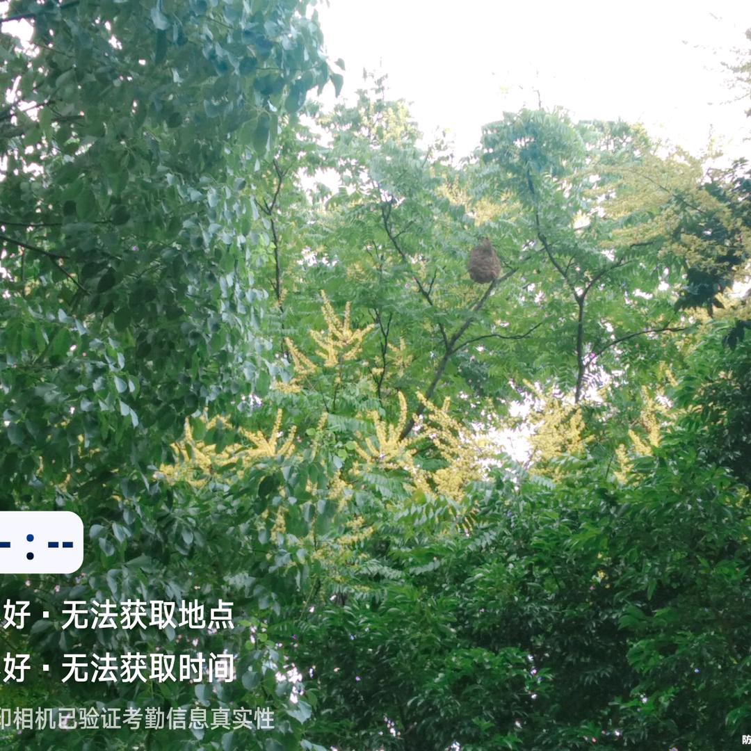 笑看未来