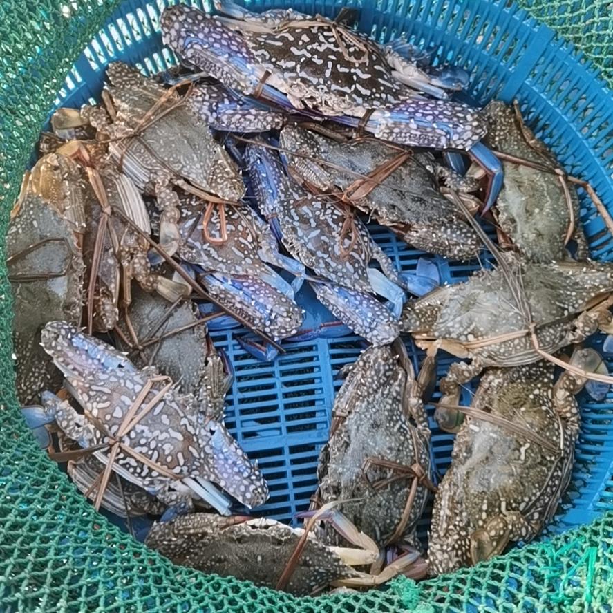 🇨🇳非你莫属🇨🇳