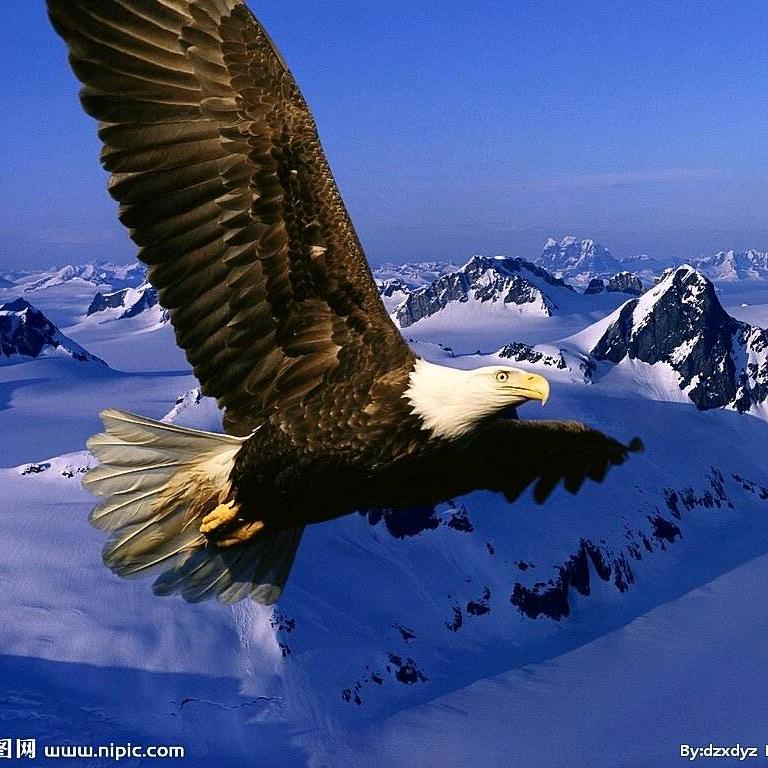 （  ？   源）❤自由♥自在♥