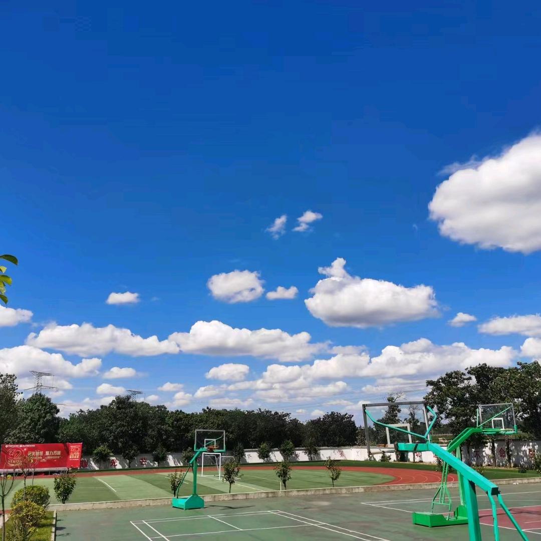 蜗牛增压