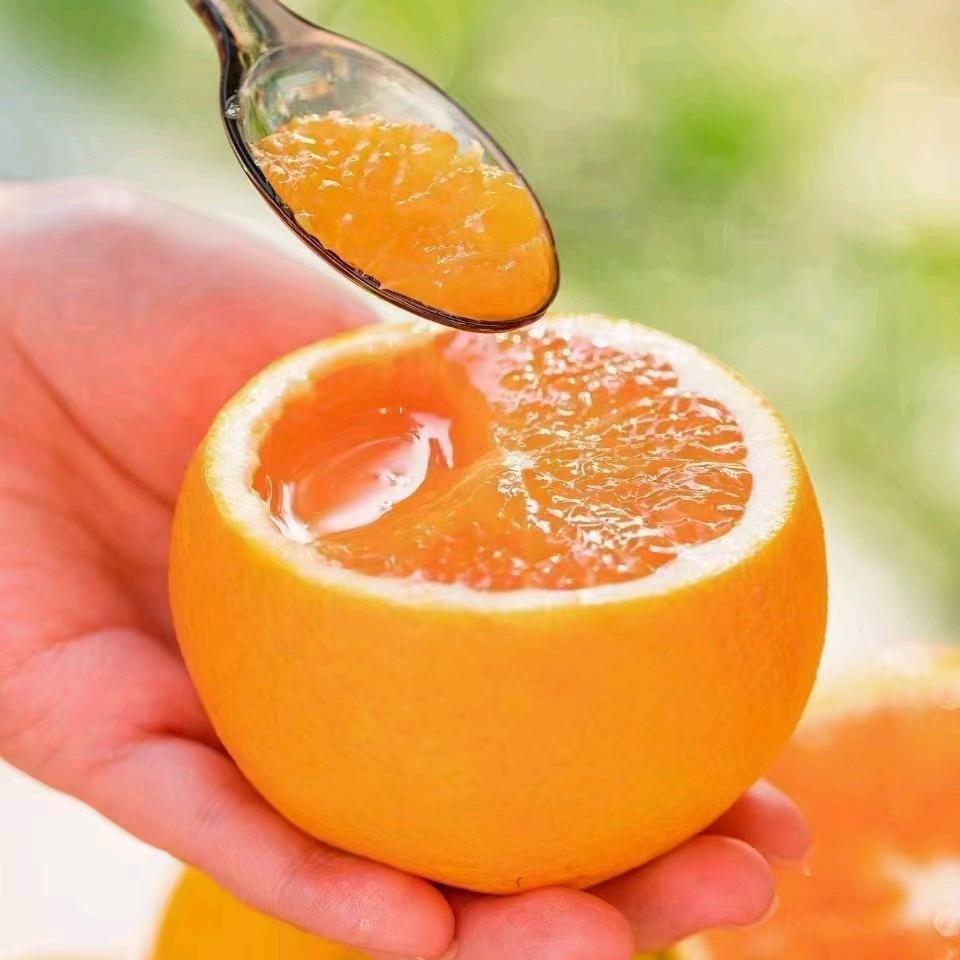 秭归橙子🍊代办