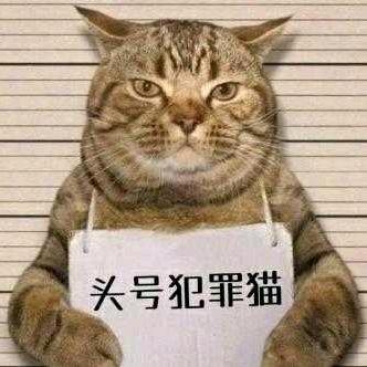 ₅₂₀💞࿐李部尚书陈心如意🕊꧔ꦿ᭄?