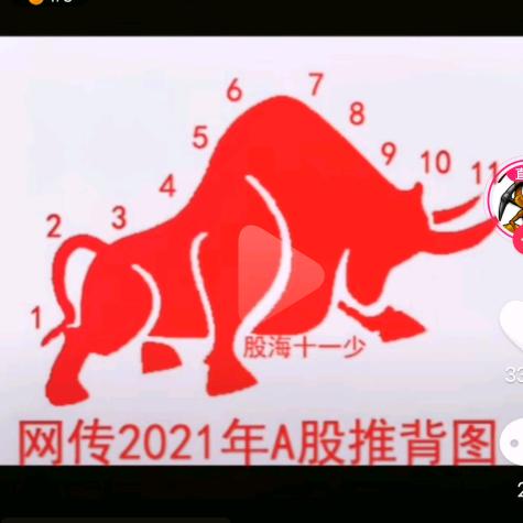 蓬蓬