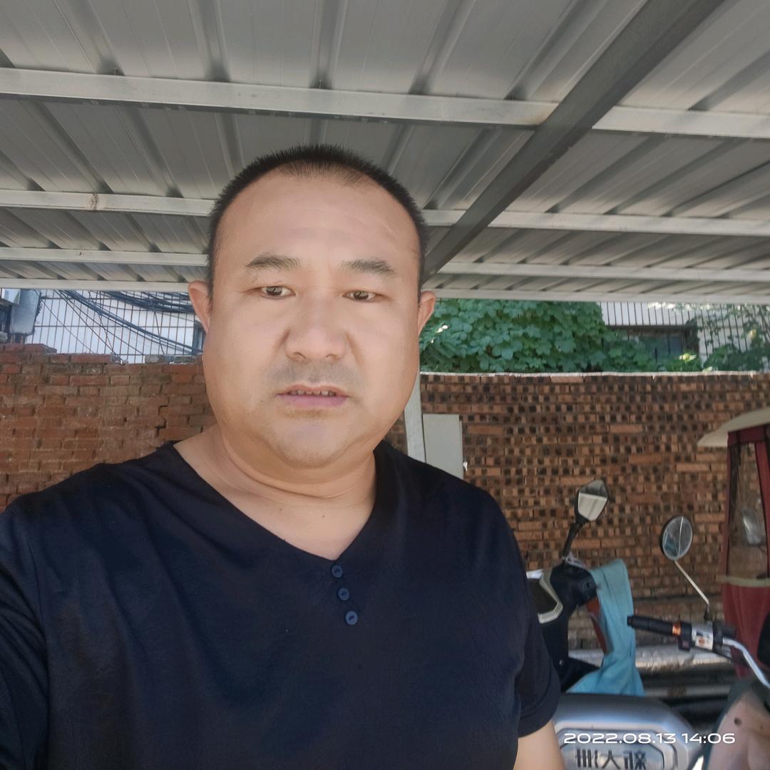 老家河南
