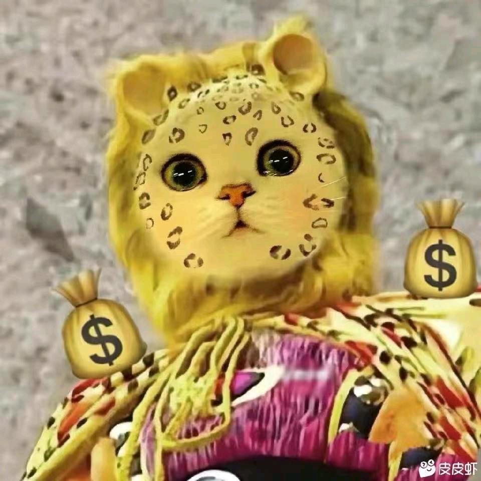 小鱼帅仔