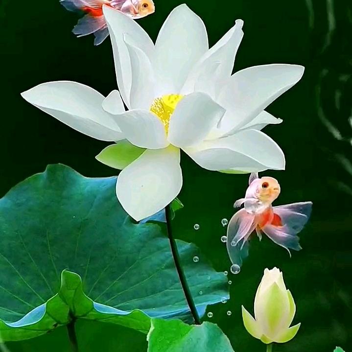顺其自然