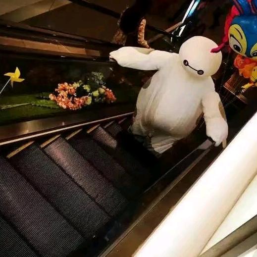 大白的三餐四季