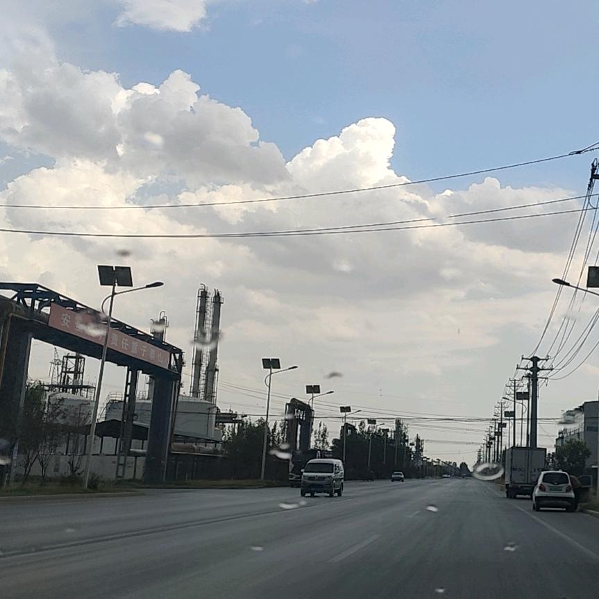 东明永敏顺成汽车运输有限公司