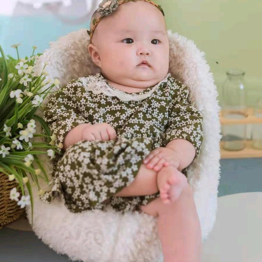 旋转小木马 $ 一诺