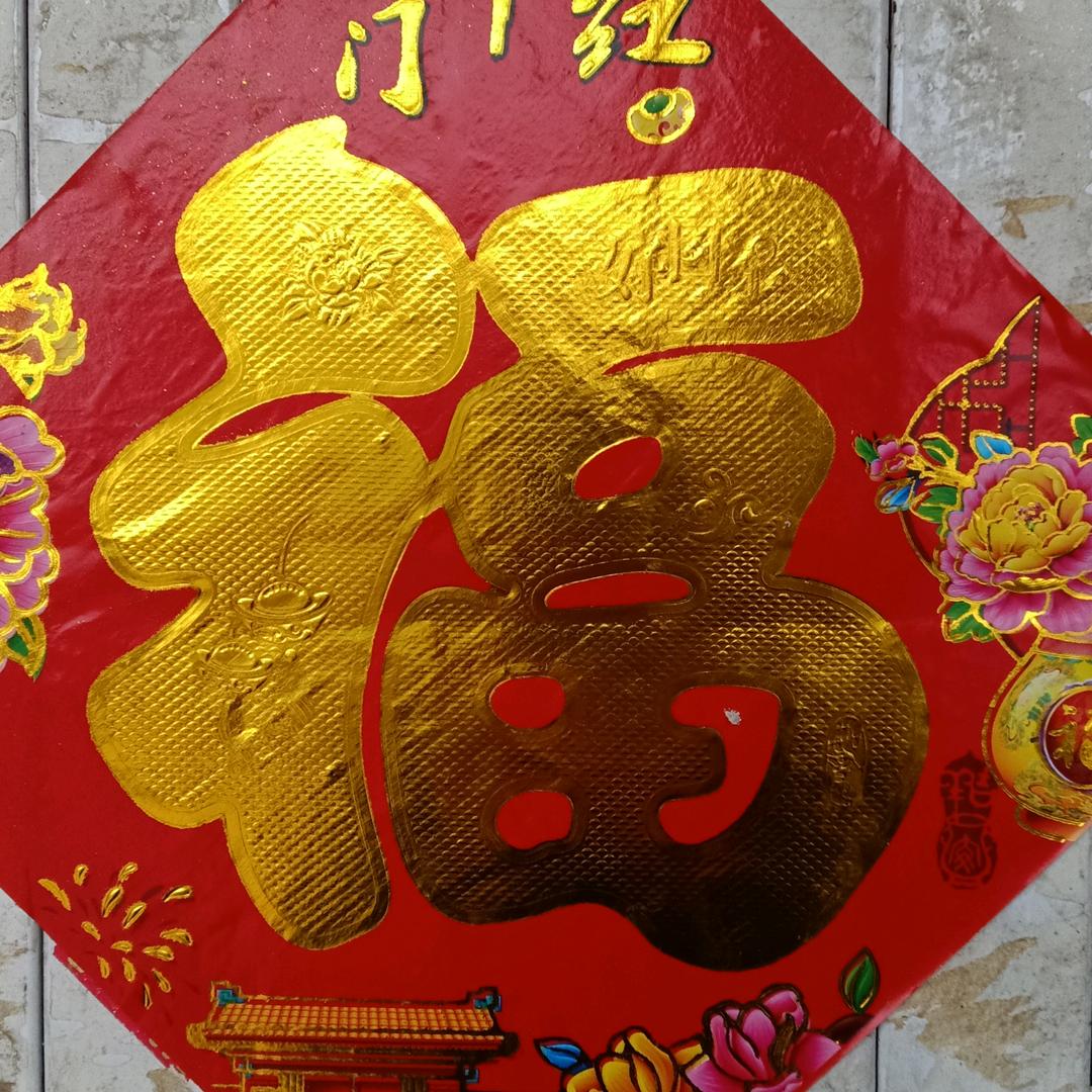 老有所悟