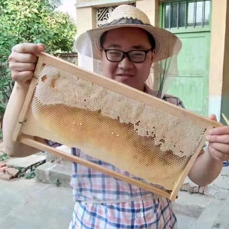 汉上蜂情养蜂小哥哥