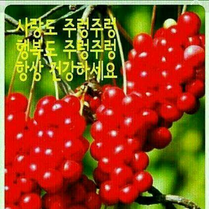 알콩달콩