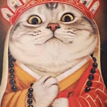 圆圆土肥宅头像