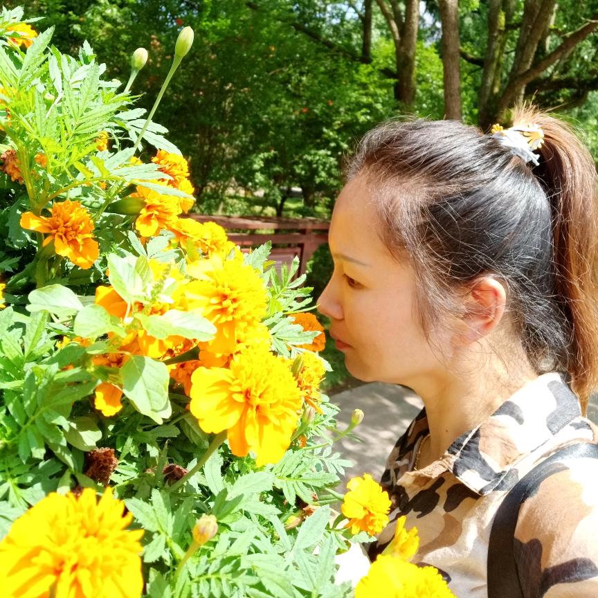 淡忘