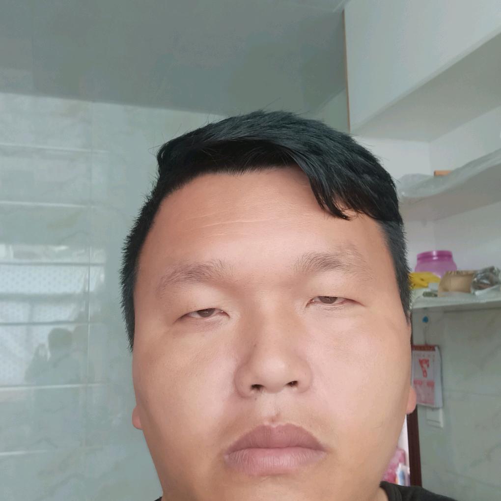 会游动的鱼