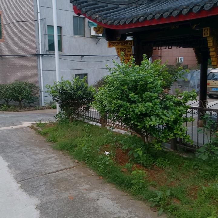 努力：奋斗