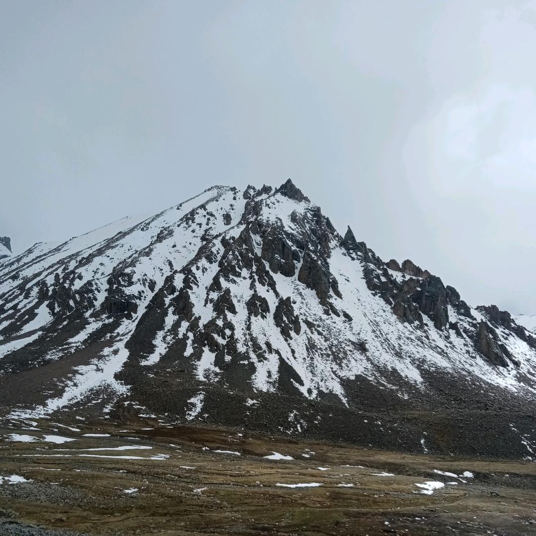 雪鹰