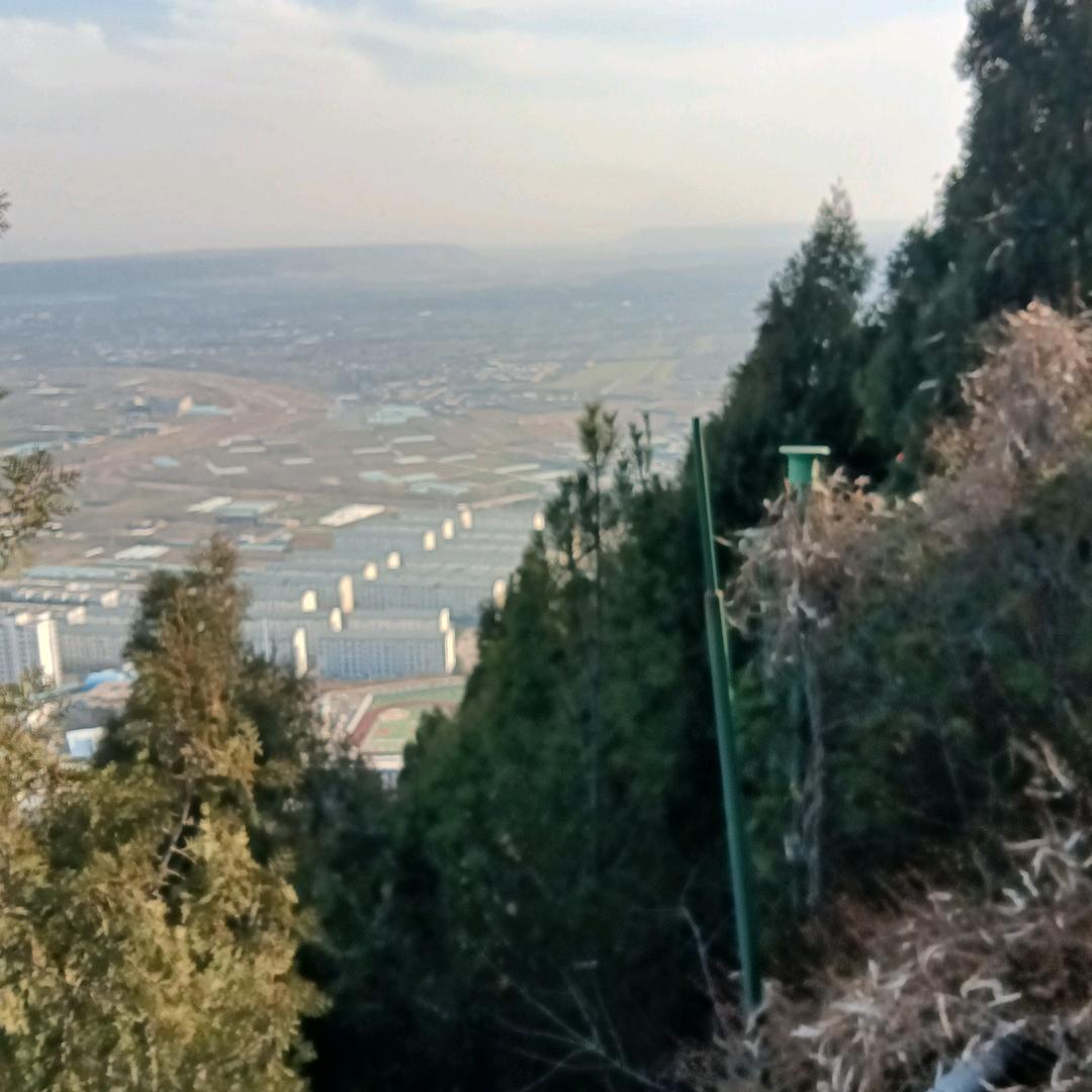 刘哥