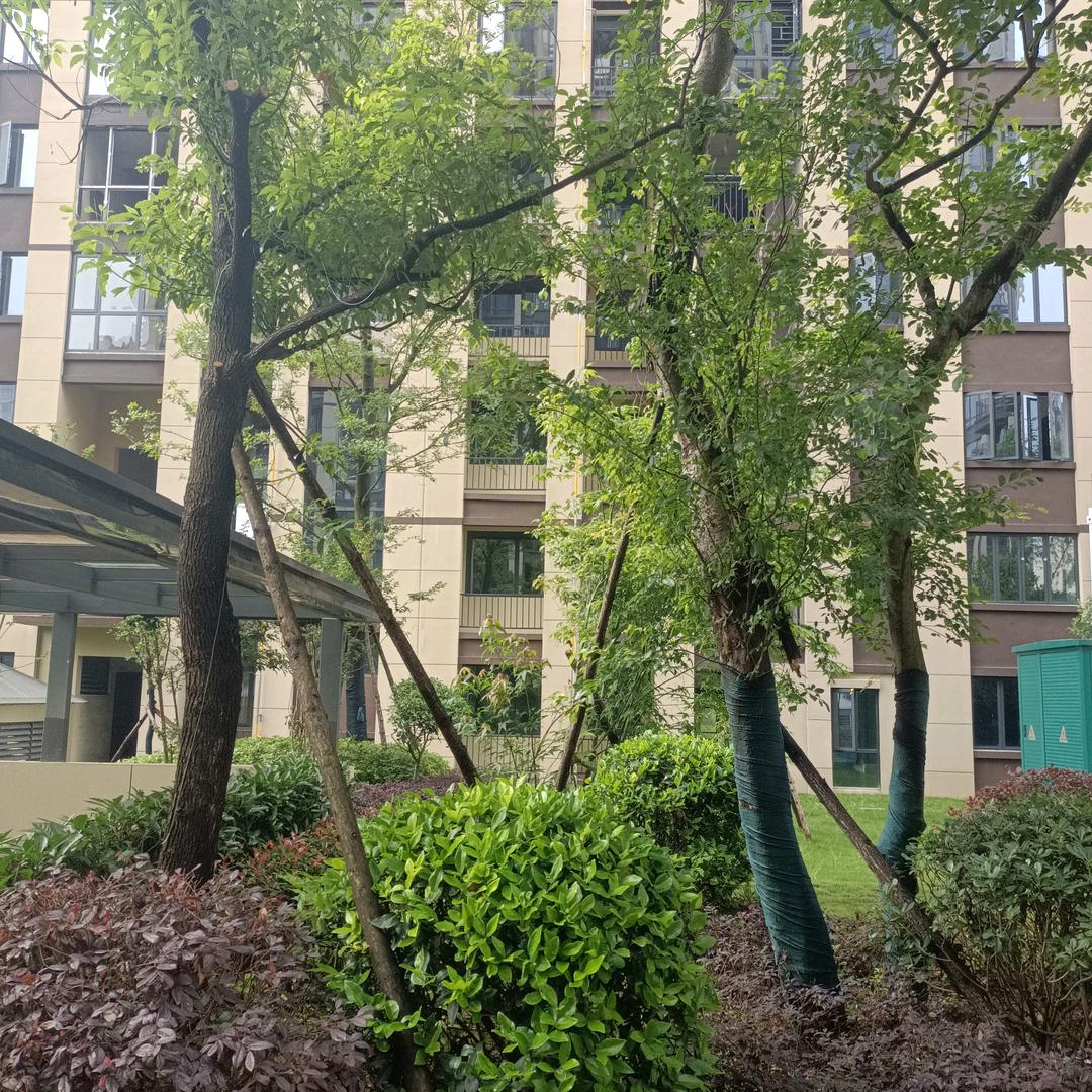 重新找回我自己