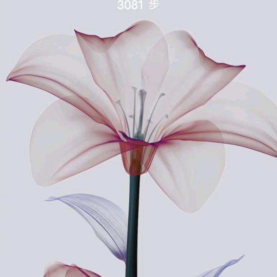 执着