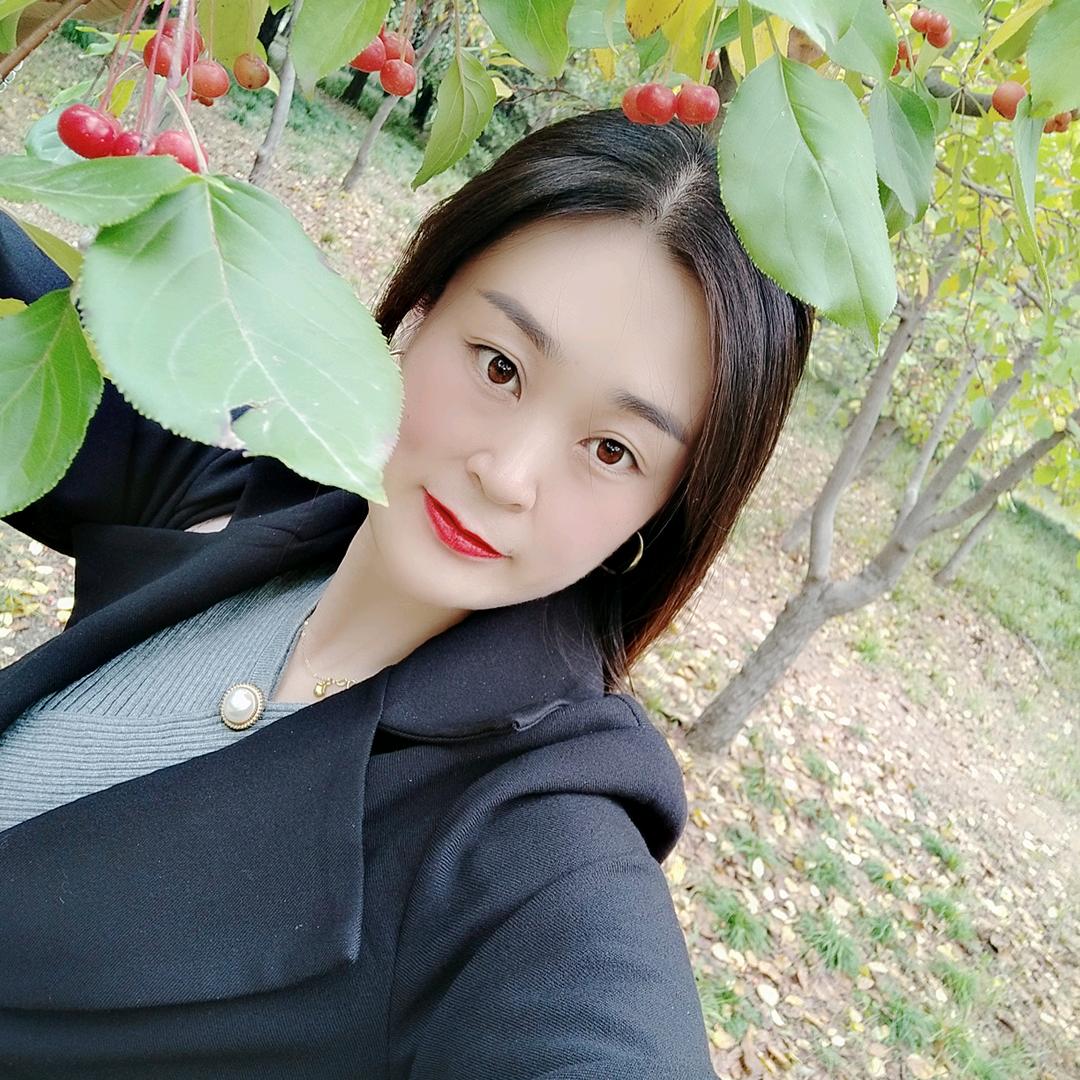 寒   梅