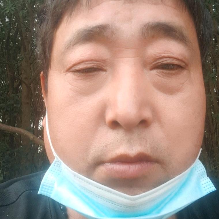 东风风光温柔