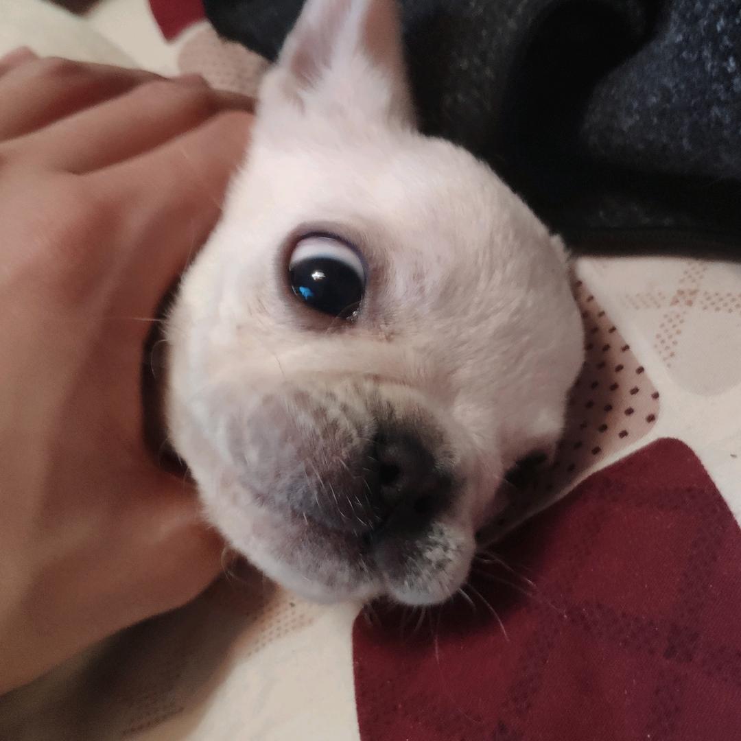 万幸