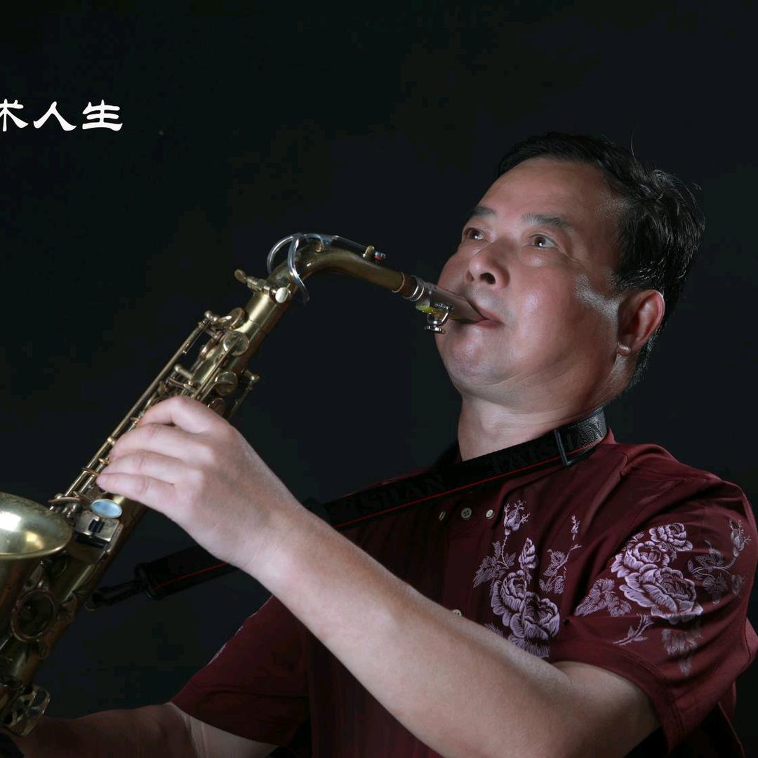 湖北黄梅大李子萨克斯&电吹管