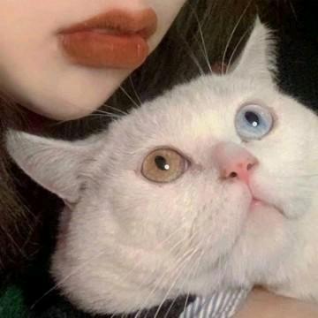 起床失败正在重启当中