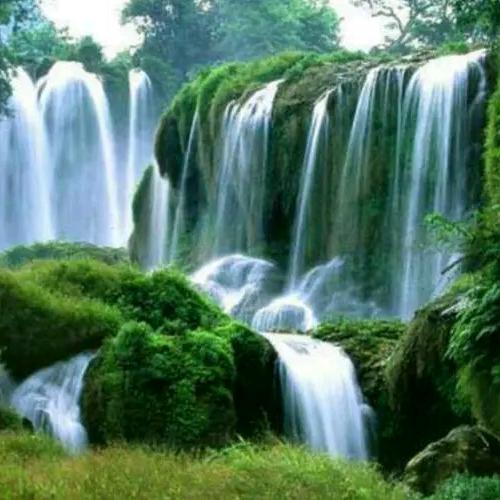 高山流水遇知音