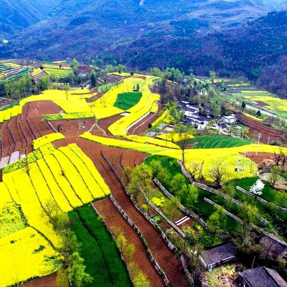 @乡村军哥