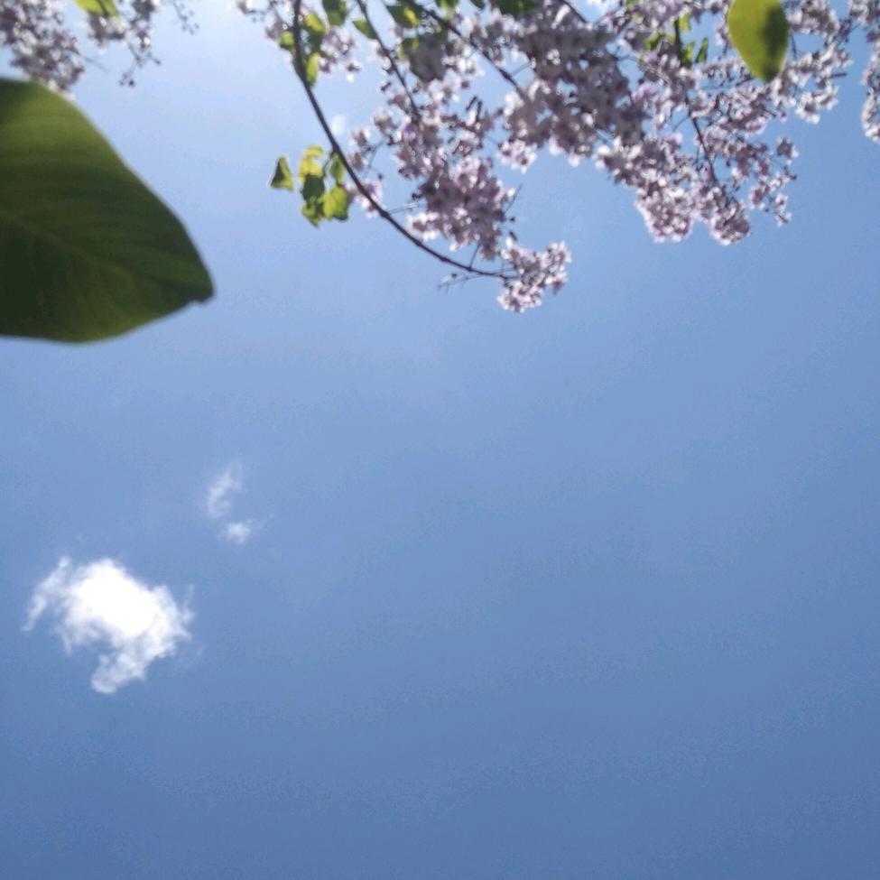 不想有同名