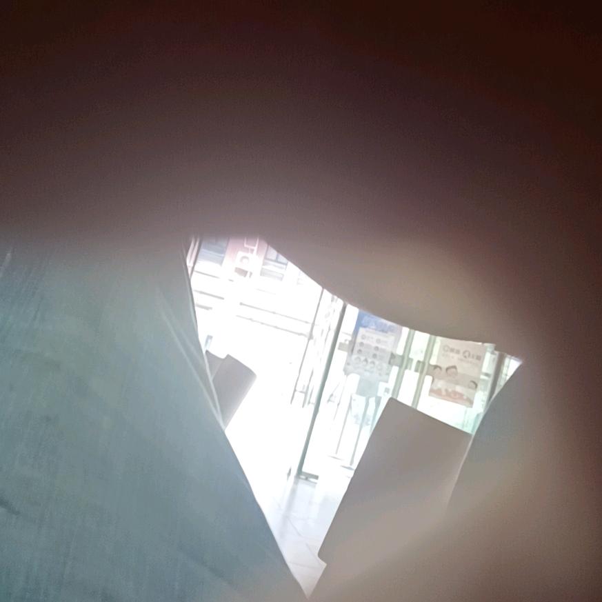 山茶