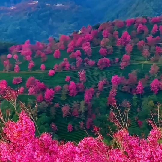 ꪋꪆ᭄轩你.💕多彩ഒᩚ࿐