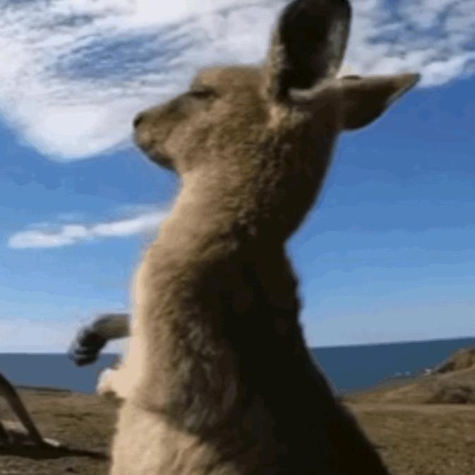 废话输出机(˵¯͒〰¯͒˵)