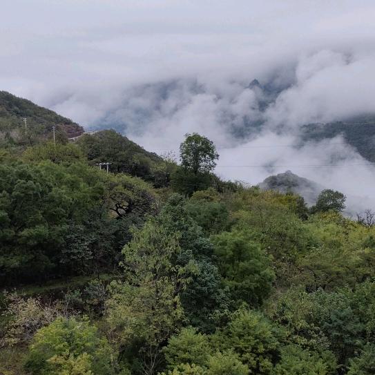 大地中原