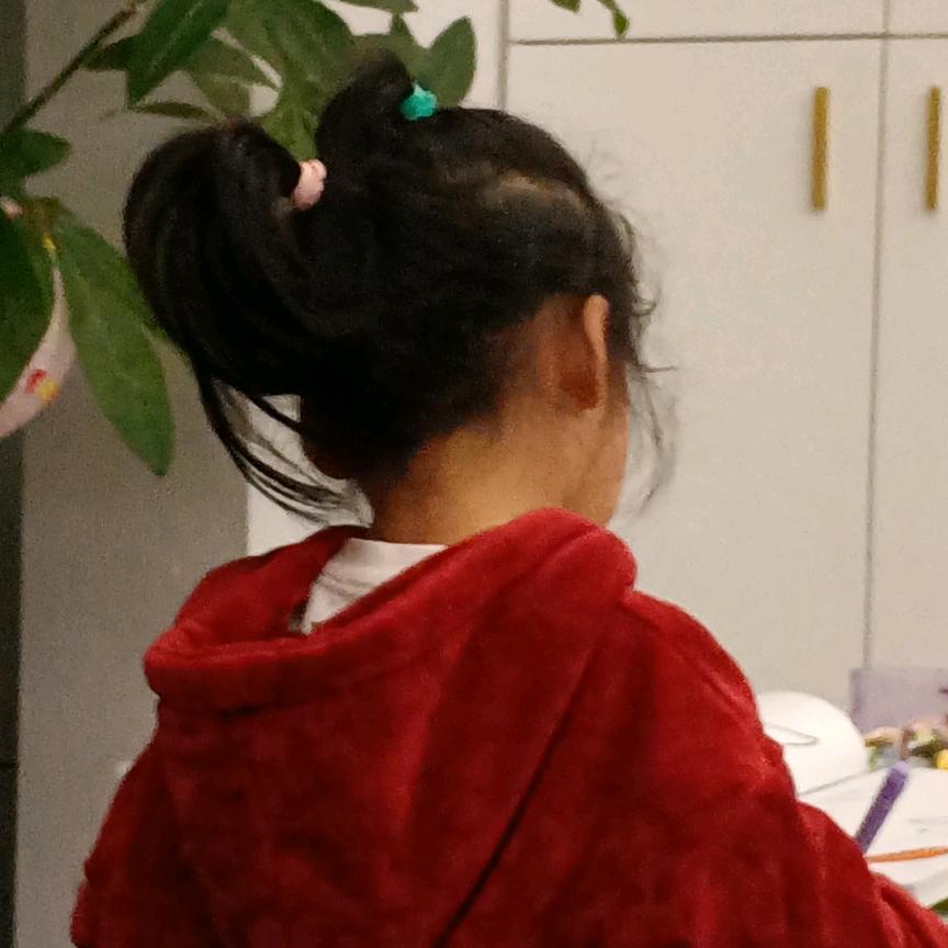 鹏程万里🐰🐰