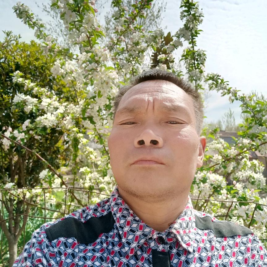 卜毛庆每天上午8点半晚上6点半直播