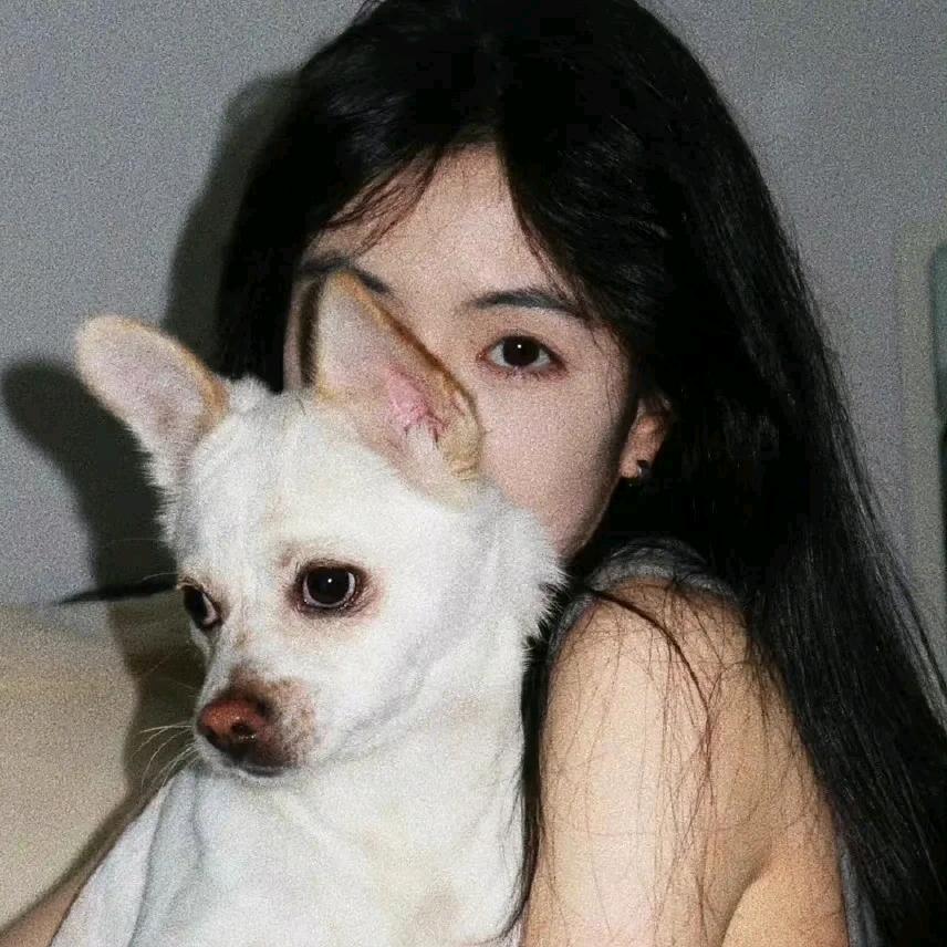 粘豆包儿