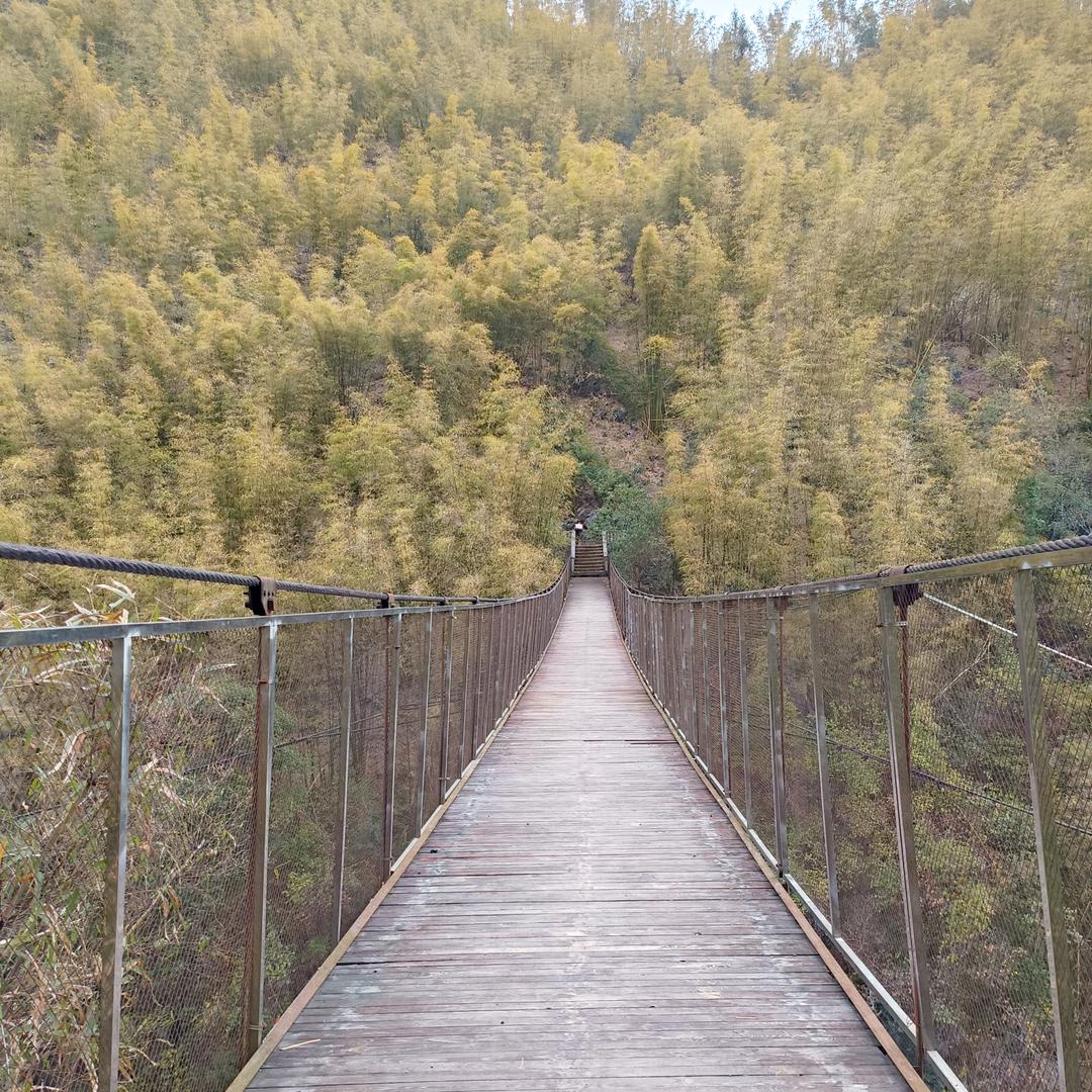 🍊陈✨住🍭气🎈